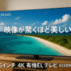 REGZA テレビ 65インチ 4K 有機ELテレビ 65X8900L 4Kチューナー内蔵 外付けHDD 裏番組録画 スマートテレビ