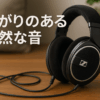 ゼンハイザー Sennheiser ヘッドホン 有線 HD 599 SE オープン型 開放型 ブラック