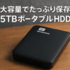 ウエスタンデジタル(Western Digital) WD ポータブルHDD 5TB USB3.0 ブラック WD Elements Portable 外付けハードディスク / メーカー2年保証 WDBU6Y0050BBK-WESN 国内正規代理店品