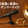 オーディオテクニカ PRO35 コンデンサーマイク XLR 金管楽器用/サックス/トランペット/楽器用マイクホルダー付属/バックエレクトレット/単一指向性 / 145dBの高耐入力 / ローカットスイッチ/ウインドスクリーン付属/ファントム電源対応 / 【国内正規品】 ブラック