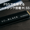Western Digital ウエスタンデジタル WD BLACK M.2 SSD 内蔵 ヒートシンク搭載 1TB PS5動作確認済 NVMe PCIe Gen4 x4 WDS100T2XHE-EC SN850X